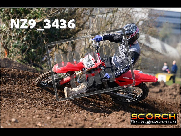 Experts-119