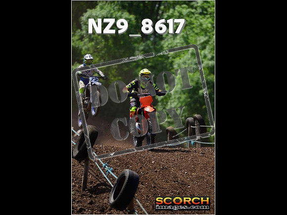 IntersGreenOrange-283