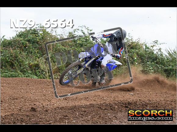 Experts-273