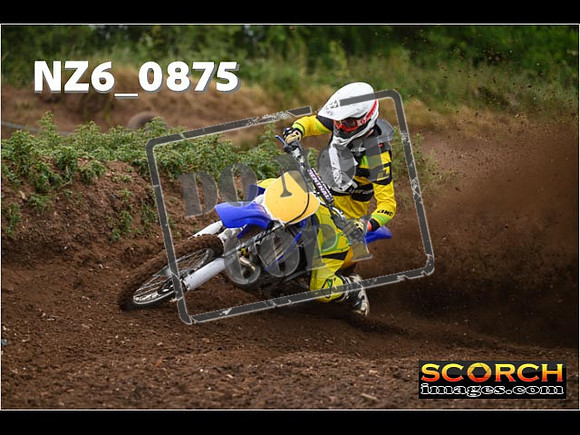Experts-068