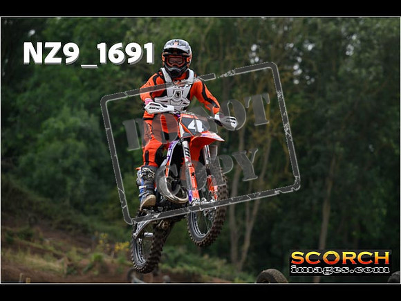 IntersGreenOrange-097