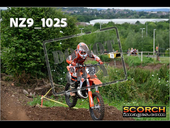 IntersGreen-041