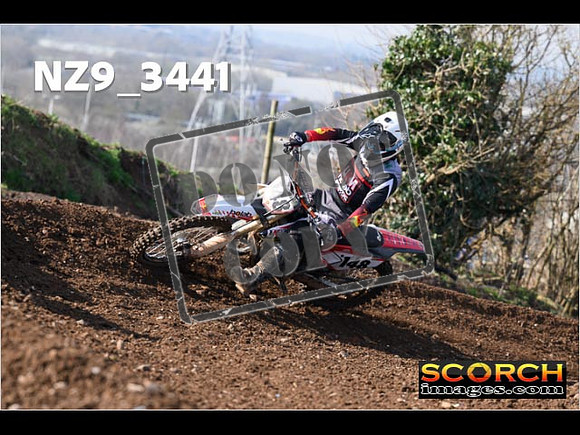Experts-124
