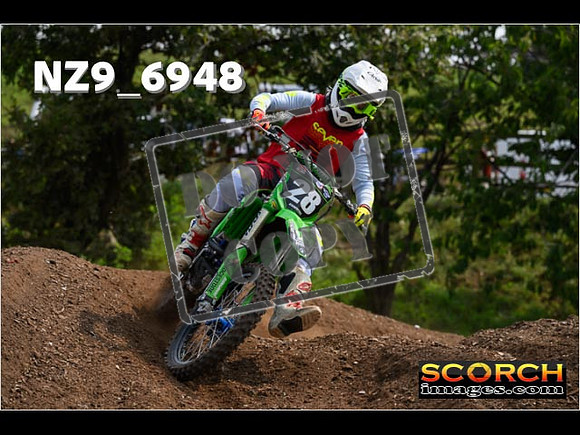 Experts-346