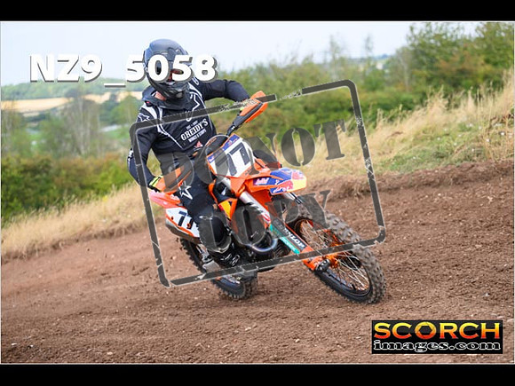 InterGreenOrange-182