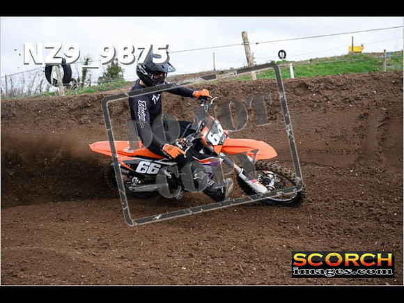 Experts-096