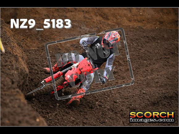 Experts-047