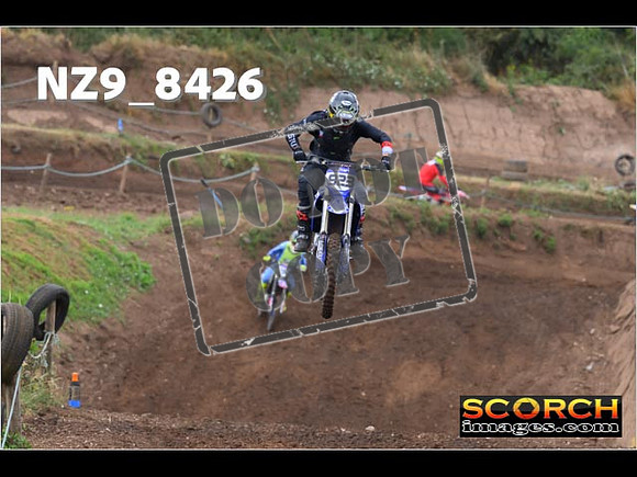 Experts-116