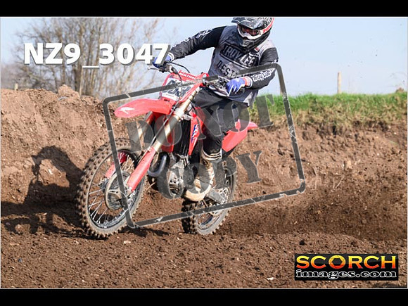 Experts-085