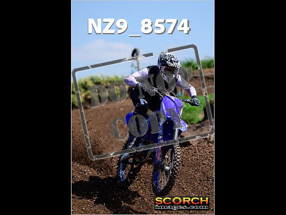 IntersGreenOrange-240