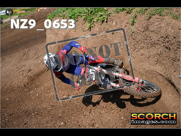 Experts-061