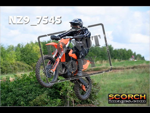 IntersGreenOrange-033