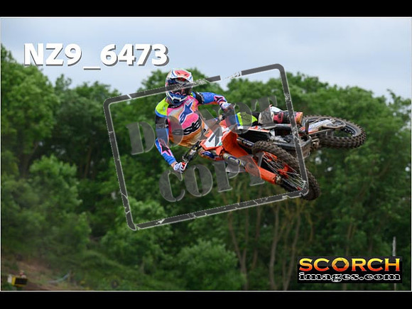 Experts-282