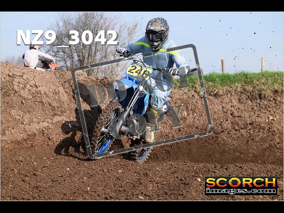 Experts-080