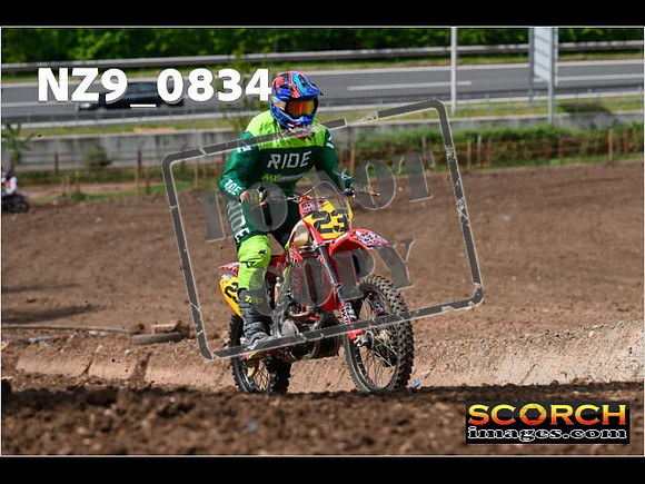 IntersGreen-366