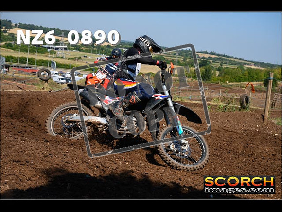 Experts-050