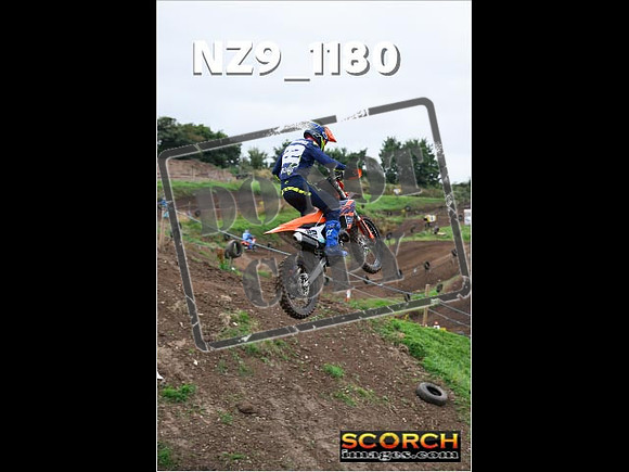Experts-118