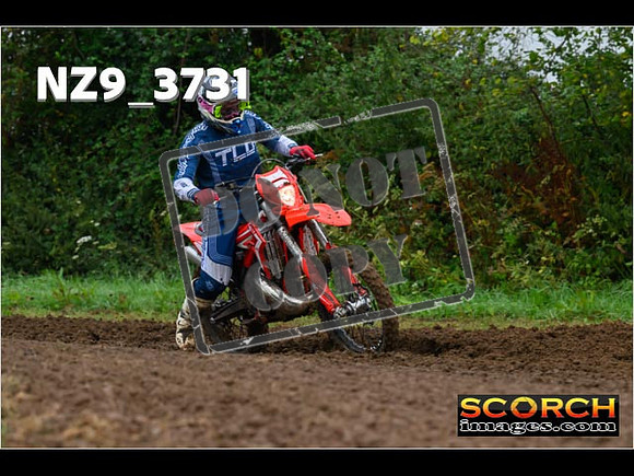 Experts-049