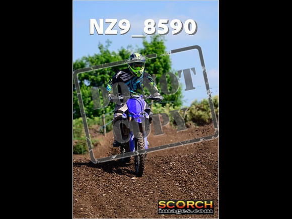 IntersGreenOrange-256