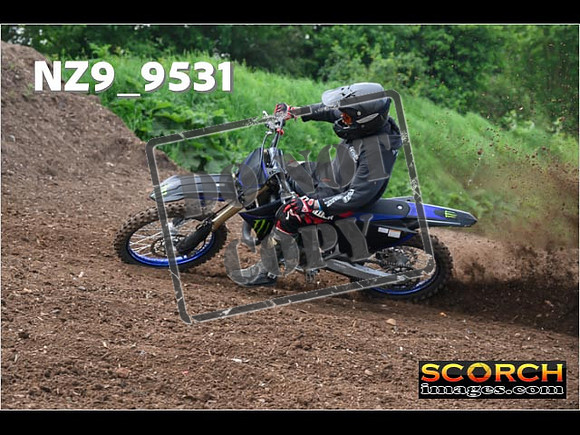 Experts-053