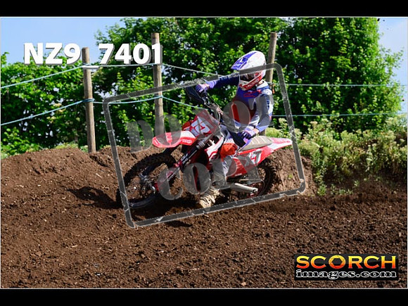 Experts-046