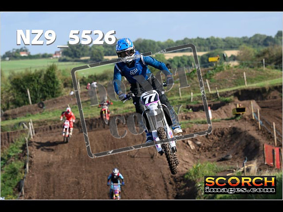 Experts-058