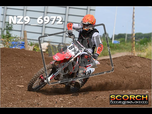 Experts-370