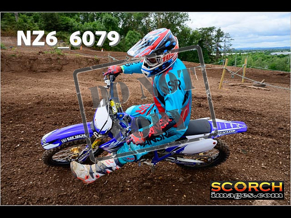 Inters Green-218