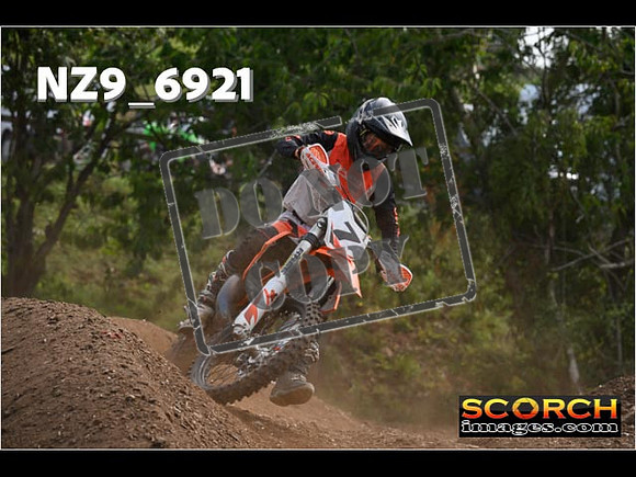 Experts-319