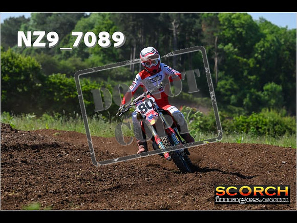 Experts-074