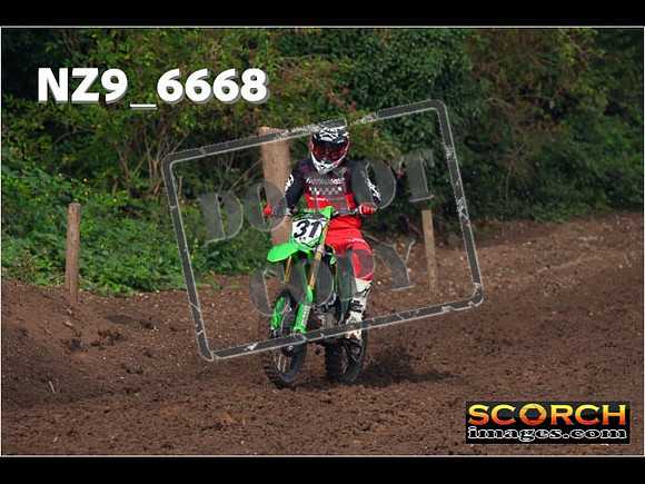 Red- Over 60-048