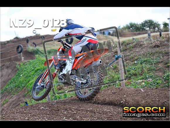 Experts-133