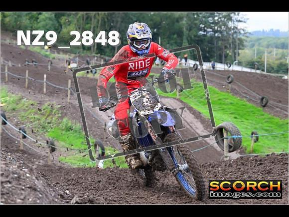 Experts-066
