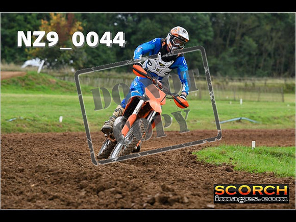 Novice-217