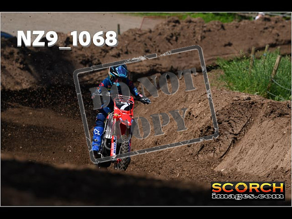 Experts-146