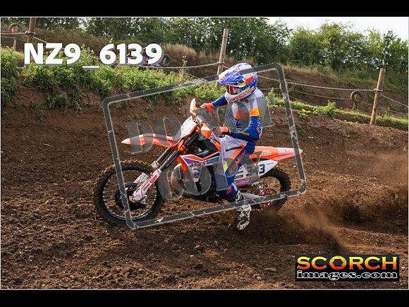 Experts-054