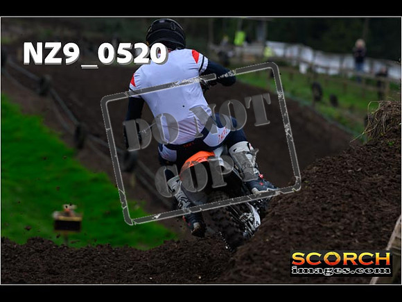 Experts-075