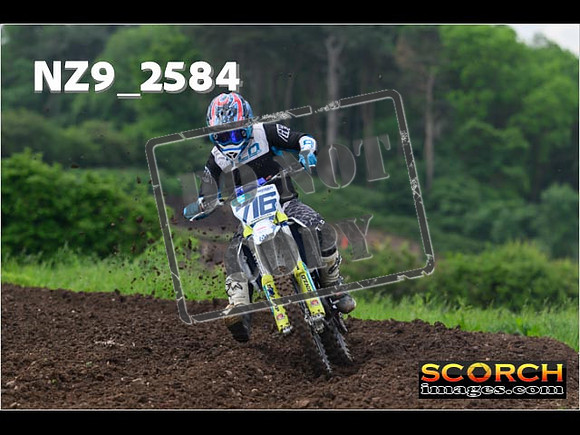 Experts-032