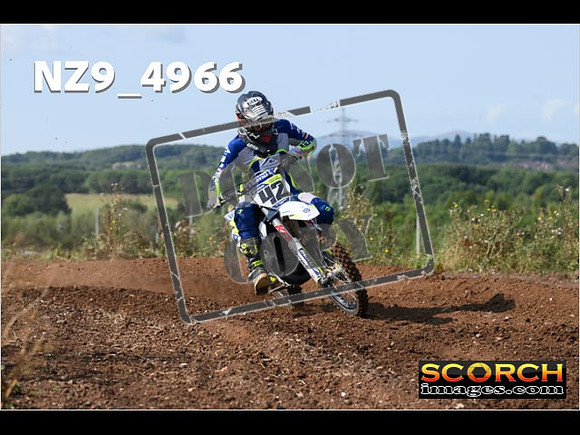 Experts-046