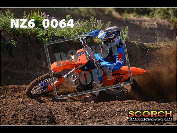 Experts-060