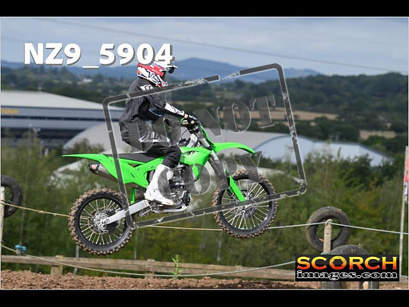 IntersGreen-092