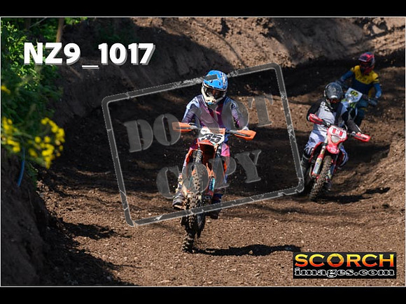 Experts-095