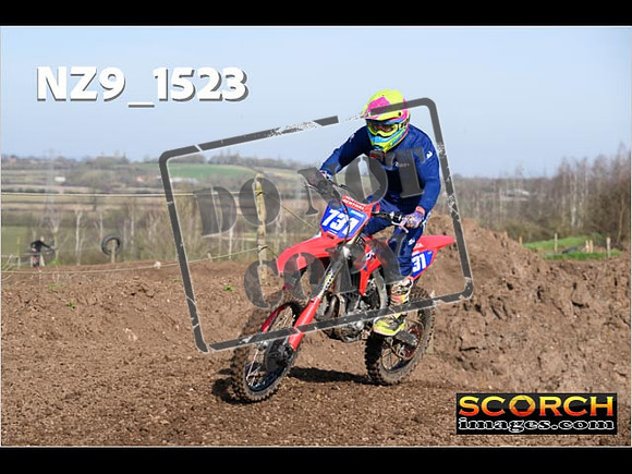 Experts-067