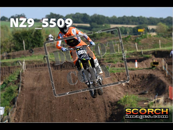 Experts-041