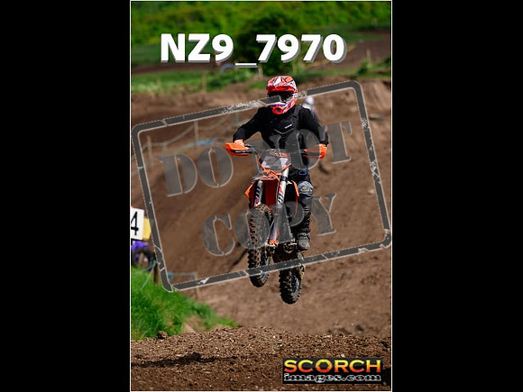 IntersGreenOrange-171