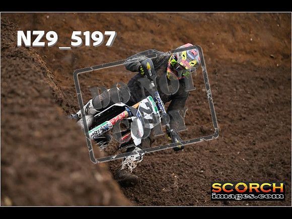 Experts-061