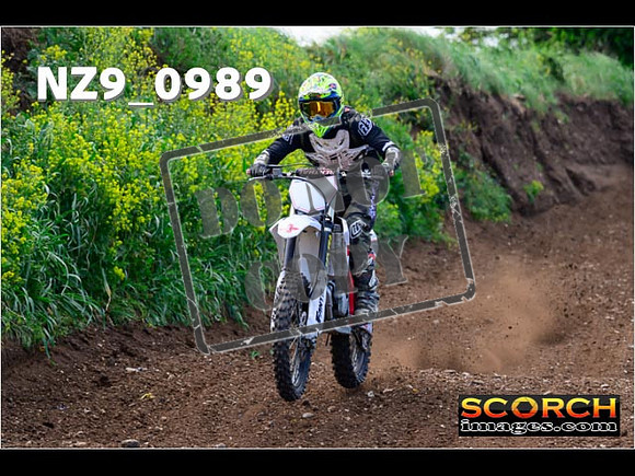 IntersGreen-054