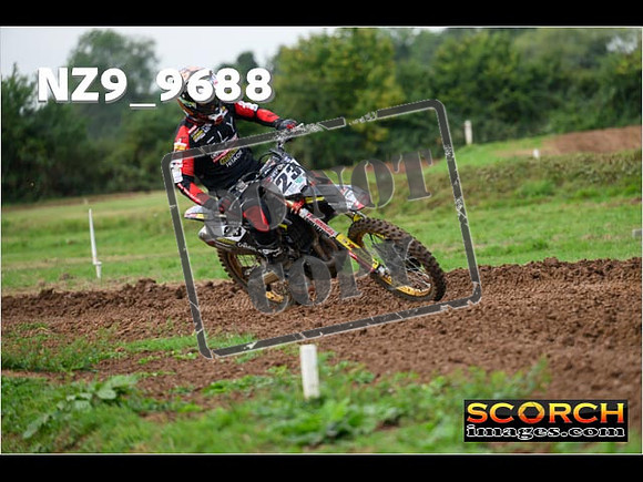 Experts-120