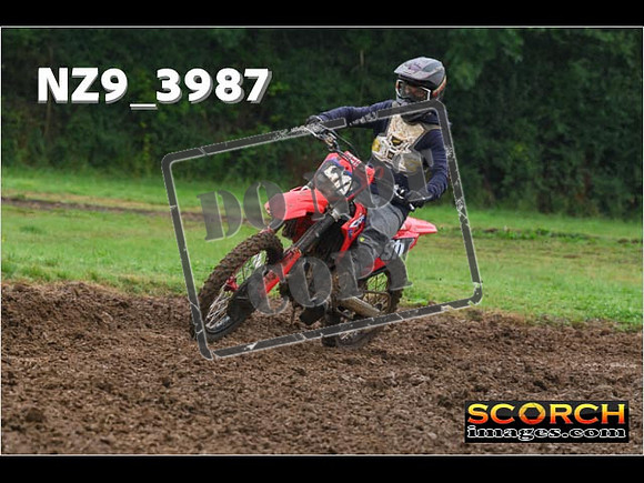 Experts-063