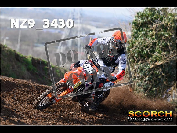 Experts-113